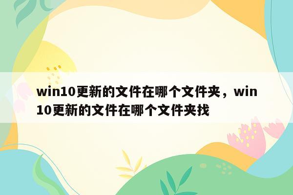 win10更新的文件在哪个文件夹，win10更新的文件在哪个文件夹找