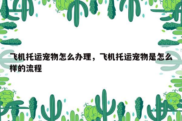 飞机托运宠物怎么办理，飞机托运宠物是怎么样的流程