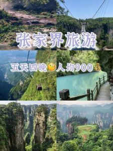 张家界旅游纯玩团，张家界旅游 团？