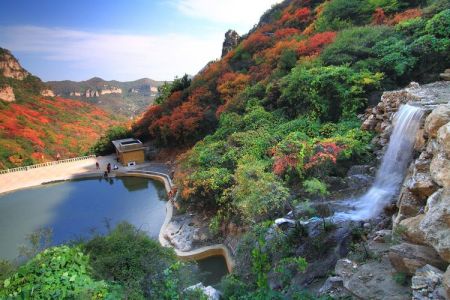 石家庄市内一日游，石家庄市内一日游最佳景点植物园门票多少