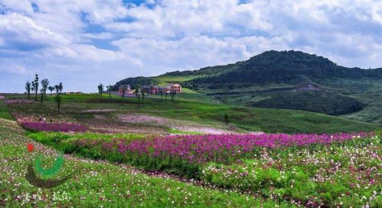 六盘水旅游景点大全，六盘水旅游景点大全地图