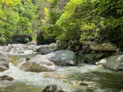 太平国家森林公园，太平国家森林公园多高