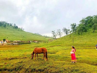 宝鸡关山牧场攻略？宝鸡关山牧场营业时间？