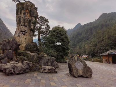 重庆黑山谷景区介绍？重庆黑山谷游玩攻略？