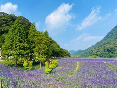 从化旅游景点自驾游，周末从化自驾旅游攻略大全