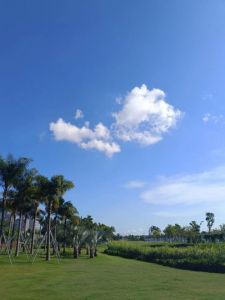 深圳风景区旅游景点，深圳风景区旅游景点排名榜前十名？