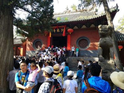 少林寺门票免票政策，少林寺门票免票政策文件？