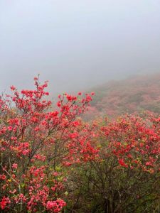 浏阳大围山旅游攻略，浏阳大围山旅游攻略一日游