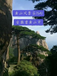 黄山旅游最佳时间？黄山旅游最佳时间是几点？