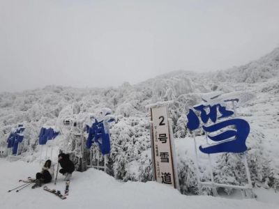 南川金佛山旅游攻略，南川金佛山的主要景点