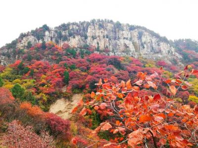 五岳寨和驼梁哪个好，五岳寨好还是驼梁好？