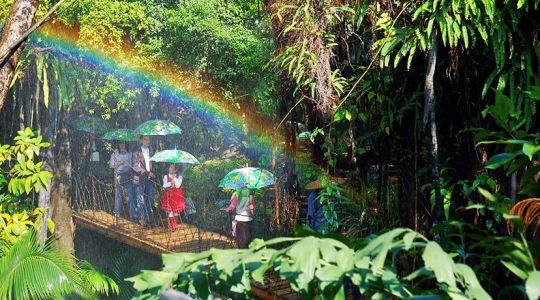 深圳青青世界图片，深圳青青世界门票多少钱图片