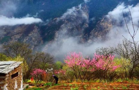 春季旅游最佳去处，北京春季旅游最佳去处