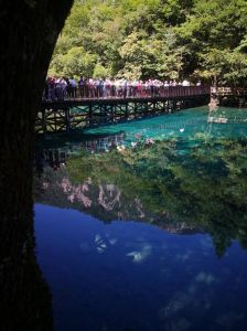 四川九寨沟旅游报价，四川九寨沟旅游线路？