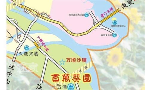 广州南沙百万葵园？广州南沙百万葵园怎么去？