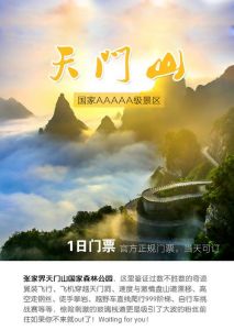 天门山景区门票预订，天门山景区游览门票？