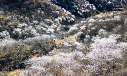 梨木台自然风景区？梨木台自然风景区游玩时间？