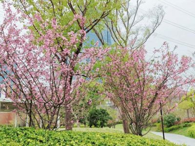 上海公园景点排名榜，上海公园景点排名榜最新？